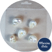 8343-P8 - Craft Pack - Mini Pearl Silvermouth